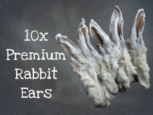 10 Premium Rabbit Ears