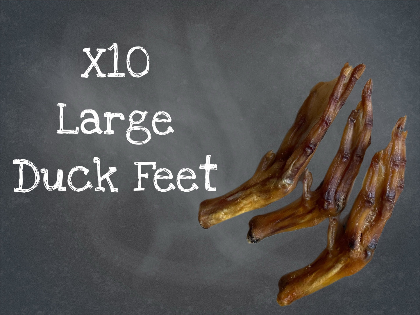 X10 Large Duck Feet